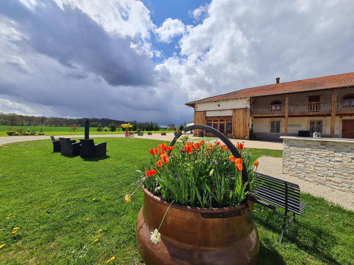 Domaine Du Cuiset -Gite Des Combles Βίλα Saint-André-sur-Vieux-Jonc Εξωτερικό φωτογραφία