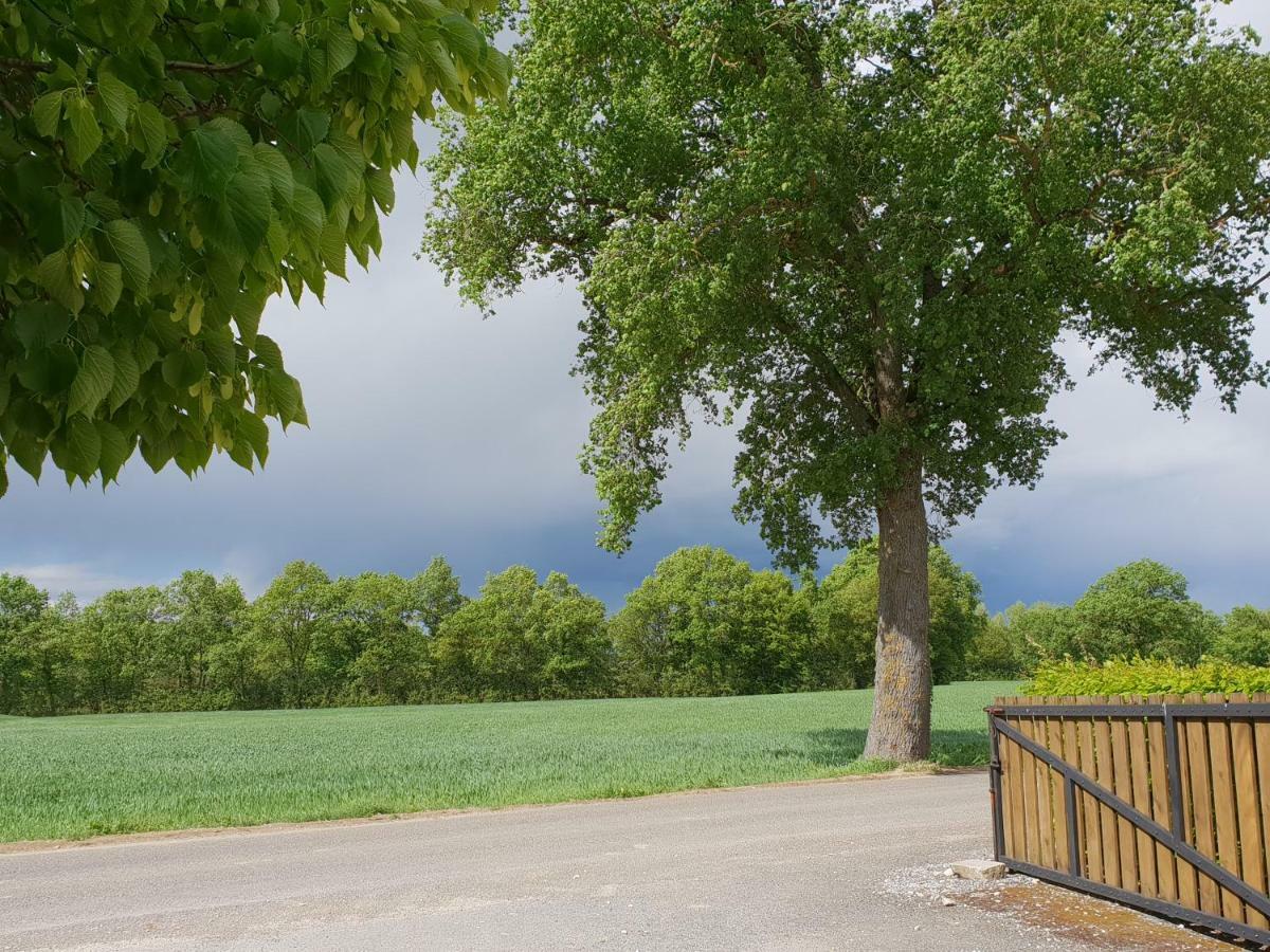 Domaine Du Cuiset -Gite Des Combles Βίλα Saint-André-sur-Vieux-Jonc Εξωτερικό φωτογραφία