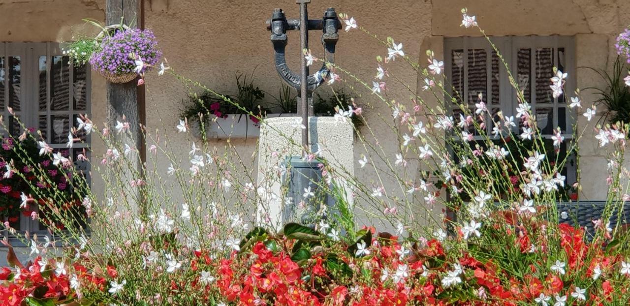 Domaine Du Cuiset -Gite Des Combles Βίλα Saint-André-sur-Vieux-Jonc Εξωτερικό φωτογραφία